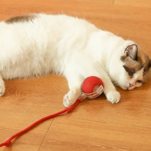 Cat Interactive Ball Toys Automatic Rolling Ball Rechargeable Smart Pet Toy - Picture 1 of 7